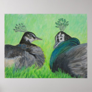 PEACOCK LOVE Poster