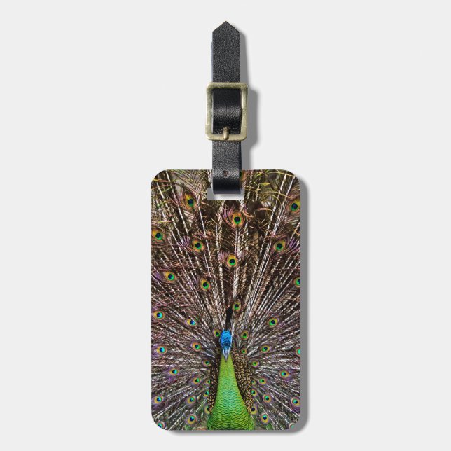 Peacock Luggage Tag (Front Vertical)