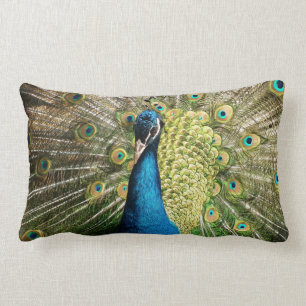 Peacock Lumbar Pillow
