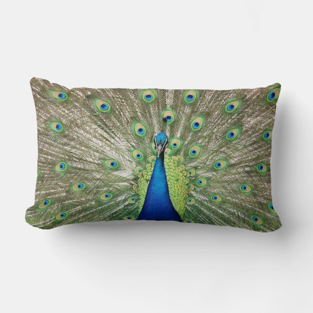 Peacock Lumbar Pillow (Front)