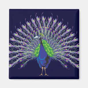 Peacock Magnets