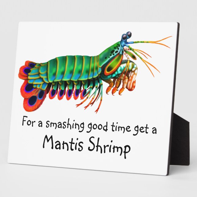 Peacock Mantis Shrimp Reef Creature Plaque (Side)