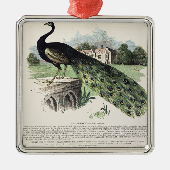 Peacock Metal Ornament (Front)