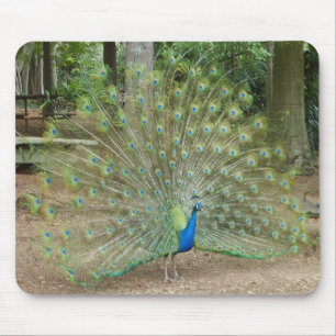Peacock Mouse Pad