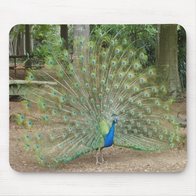 Peacock Mouse Pad (Front)