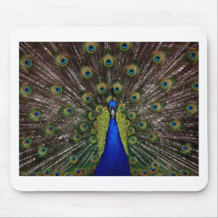 Peacock Mouse Pad