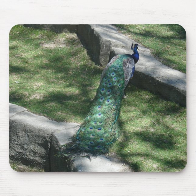 peacock mouse pad (Front)