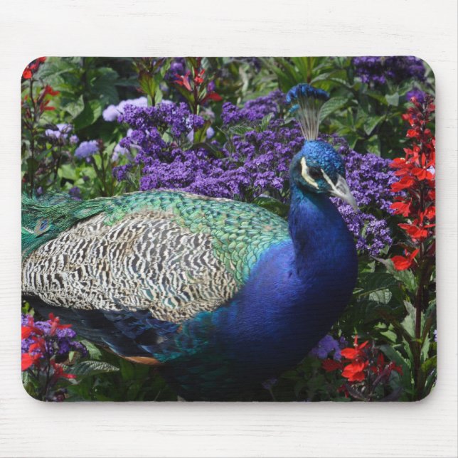 Peacock Mouse Pad (Front)