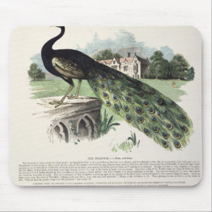 Peacock Mouse Pad
