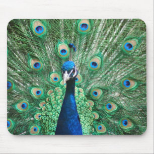 Peacock Mousepad