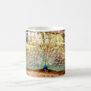 Peacock, Mug