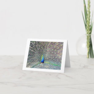 Peacock Note Card
