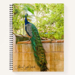 Peacock Notebook 1