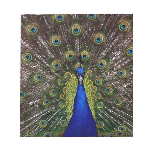 Peacock Notepad (Front)