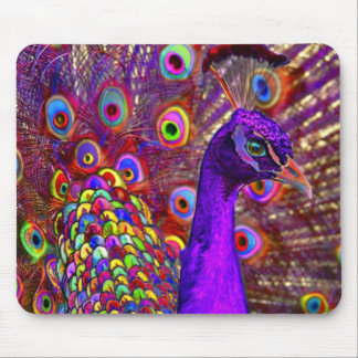 Peacock of a million colours mouse pad