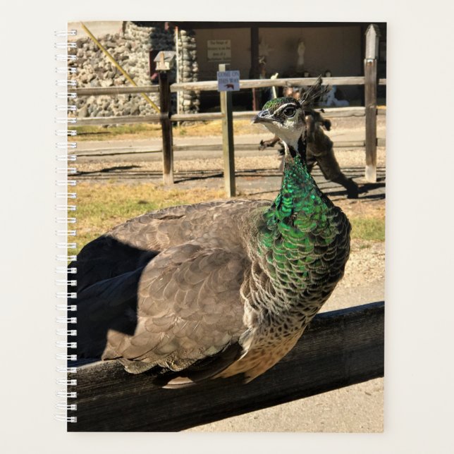 Peacock on a Fence, Idaho Planner (Front)