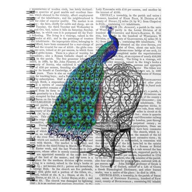 Peacock on Chair Notebook (Front)