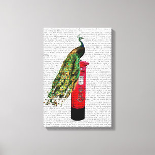 Peacock on Postbox Canvas Print