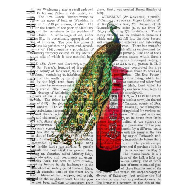 Peacock on Postbox Notebook (Front)