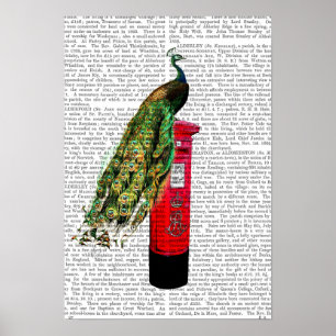 Peacock on Postbox Poster