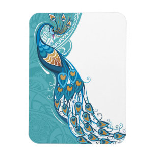 Peacock on Teal Illustration Magnet