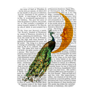 Peacock on the Moon Magnet