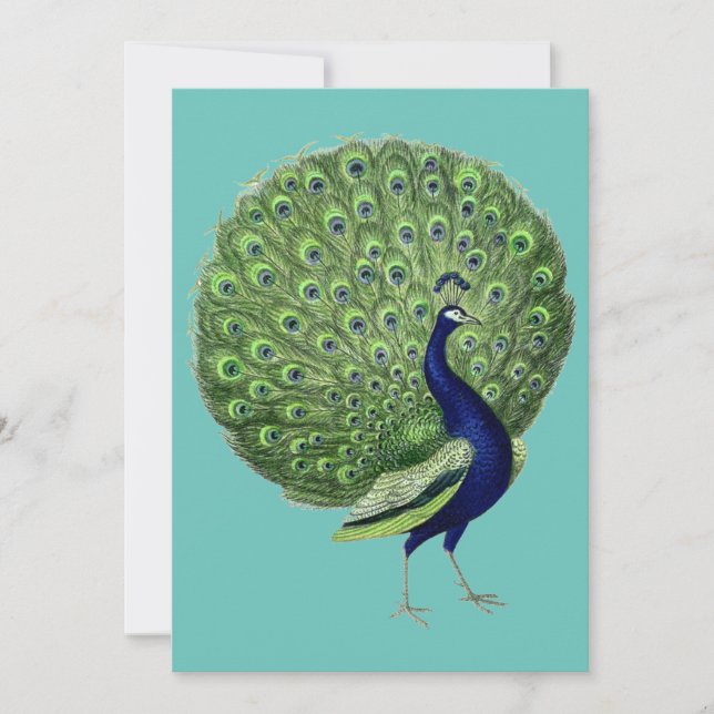 Peacock Open Fan Invitation (Front)