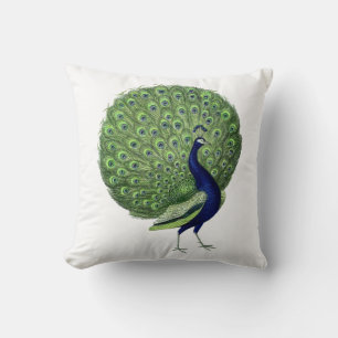 Peacock Open Fan Throw Pillow