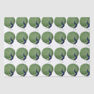 Peacock Open Fan Tissue Paper