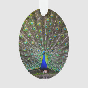 Peacock Ornament