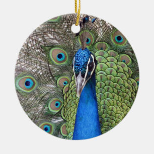 Peacock Ornament