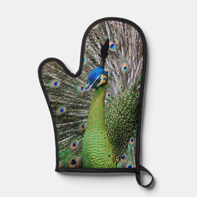 Peacock Oven Mitt (Front)