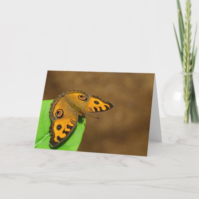 Peacock Pansy Butterfly Card (Front)