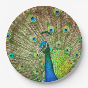 Peacock Paper Plate