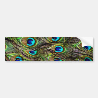 peacock pattern bumper sticker