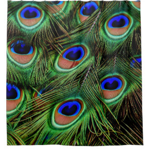Peacock Peacocks Turquoises rideaux Douche rideau