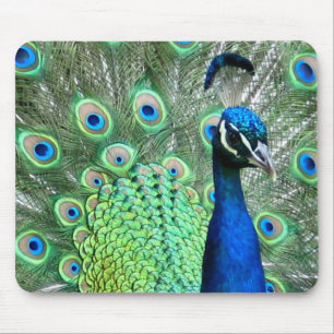 PEACOCK PEAFOWL PHOTO MOUSE PAD