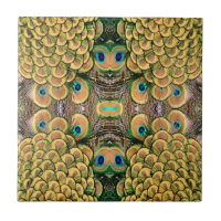Peacock Peahen Peafowl Feathers Colourful Mirror