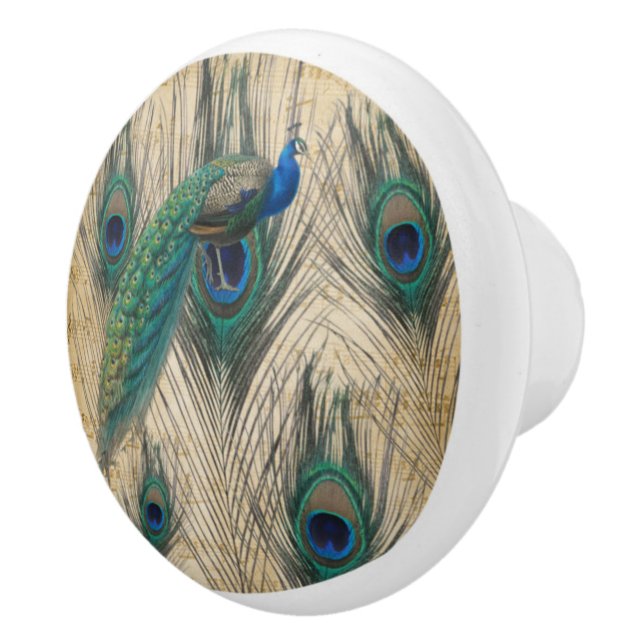 Peacock & Pecock Feathers W/Music Paper Background Ceramic Knob (Right)