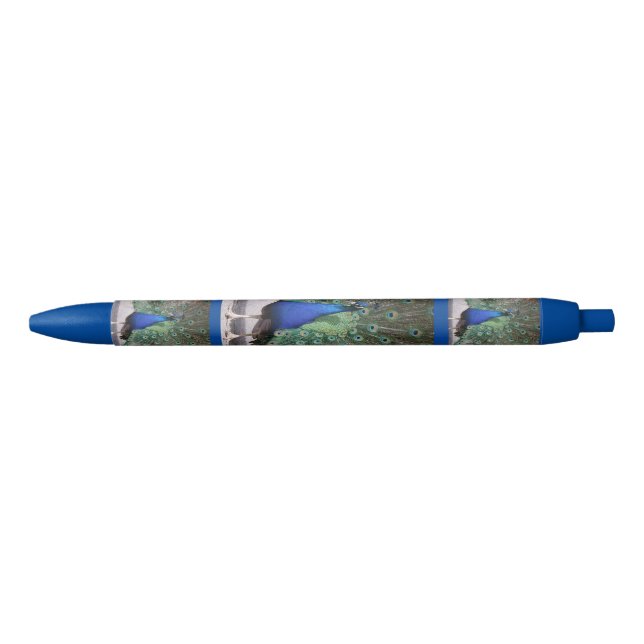Peacock Pen (Front)