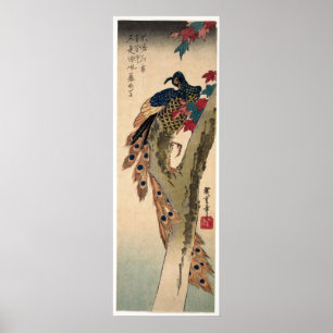 Peacock Perched on a Maple Tree Poster