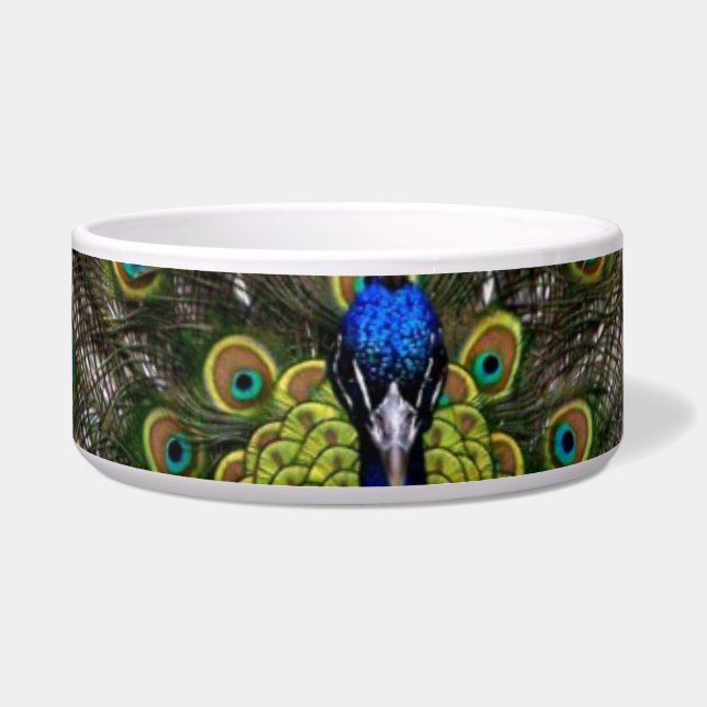 Peacock Pet Bowl (Front)