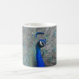 PEACOCK PHOTO CAFÉ MUG