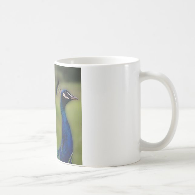 Peacock Photo Classic White Mug (Right)