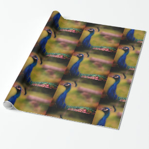 Peacock Photo  Matte Wrapping Paper