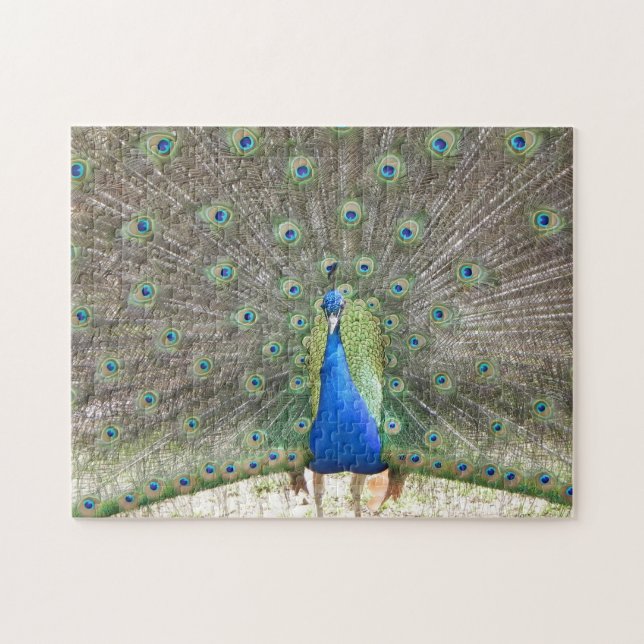 PEACOCK PHOTO PUZZLE (Horizontal)