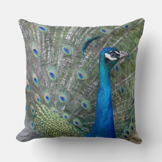 Peacock Photography Throw Pillow (Front)