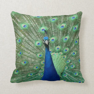Peacock Pillow