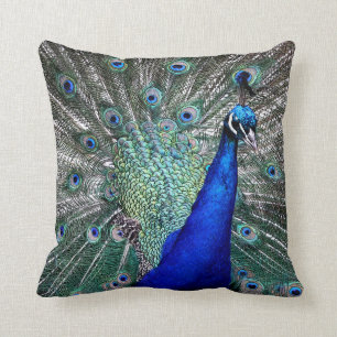 Peacock Pillow
