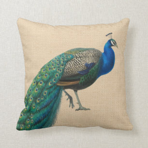 Peacock Pillow Colourful